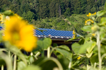 Eco Solution Energie - Entreprise de photovoltaïque
